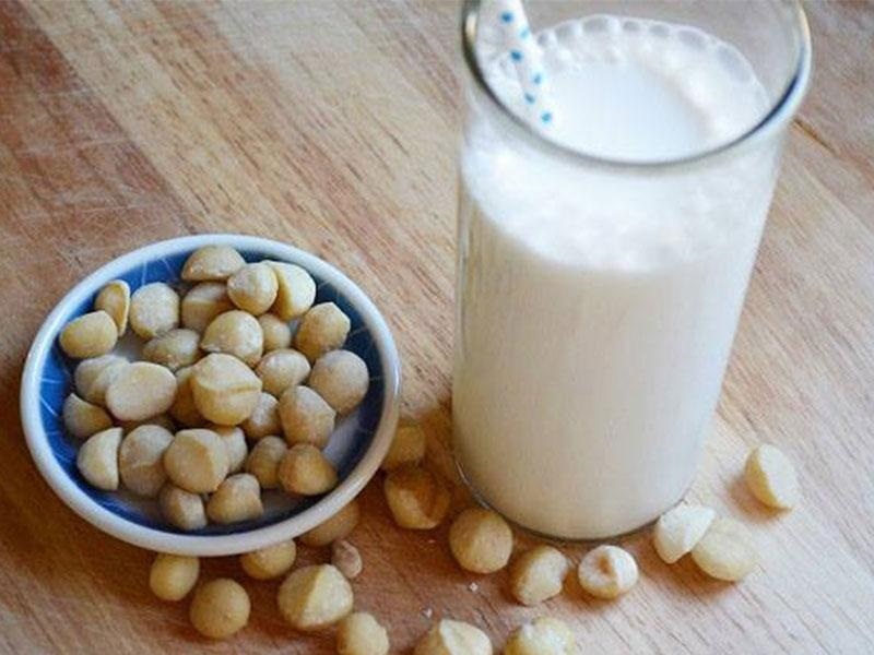 Sữa hạt Macca rất thích hợp để bổ sung dinh dưỡng cho những đối tượng không muốn dùng sữa động vật