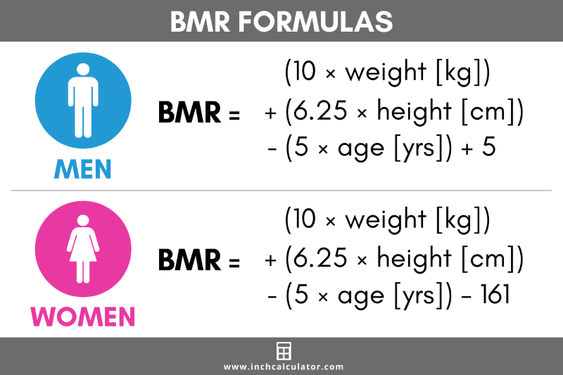 Cách tính BMR