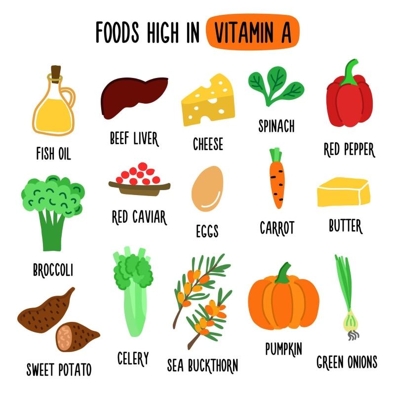 Các loại vitamin A và thực phẩm giàu vitamin A