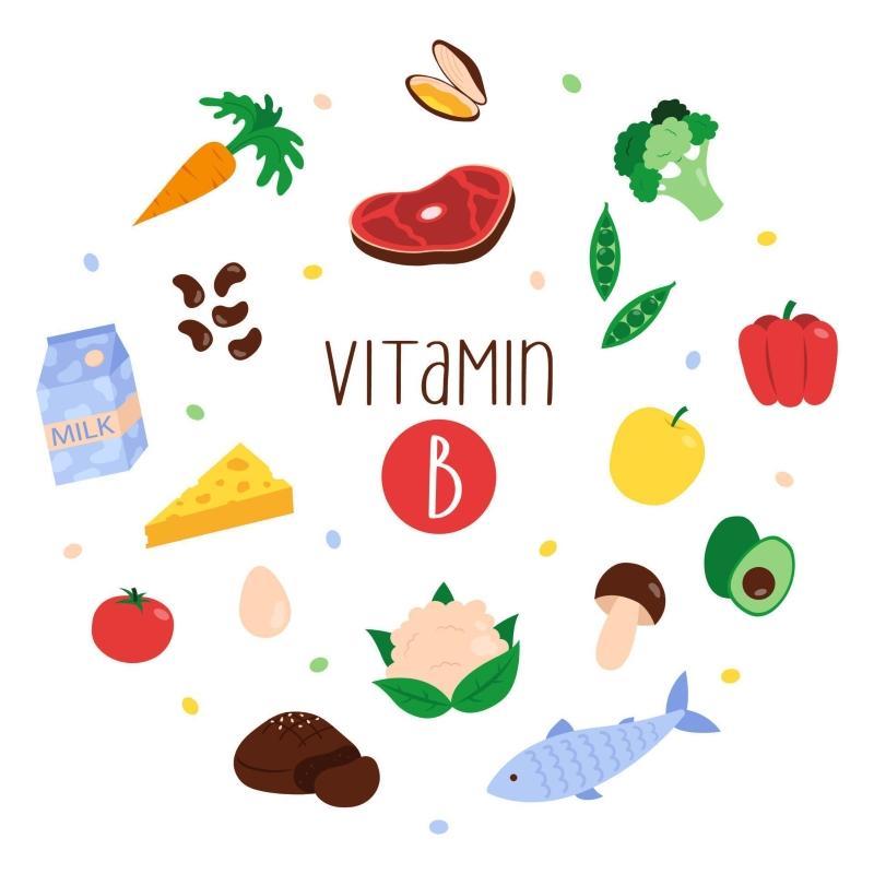 Các loại vitamin B và thực phẩm giàu vitamin B