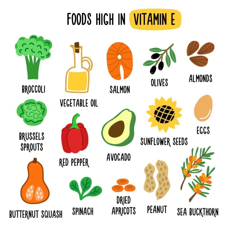 Các loại vitamin E và thực phẩm giàu vitamin E